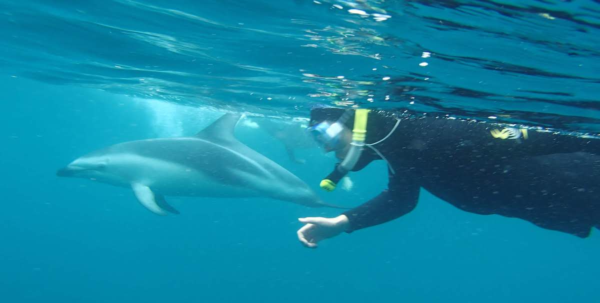 Me in the sea with a snorkel and wetsuit, swimming next to a dolphin